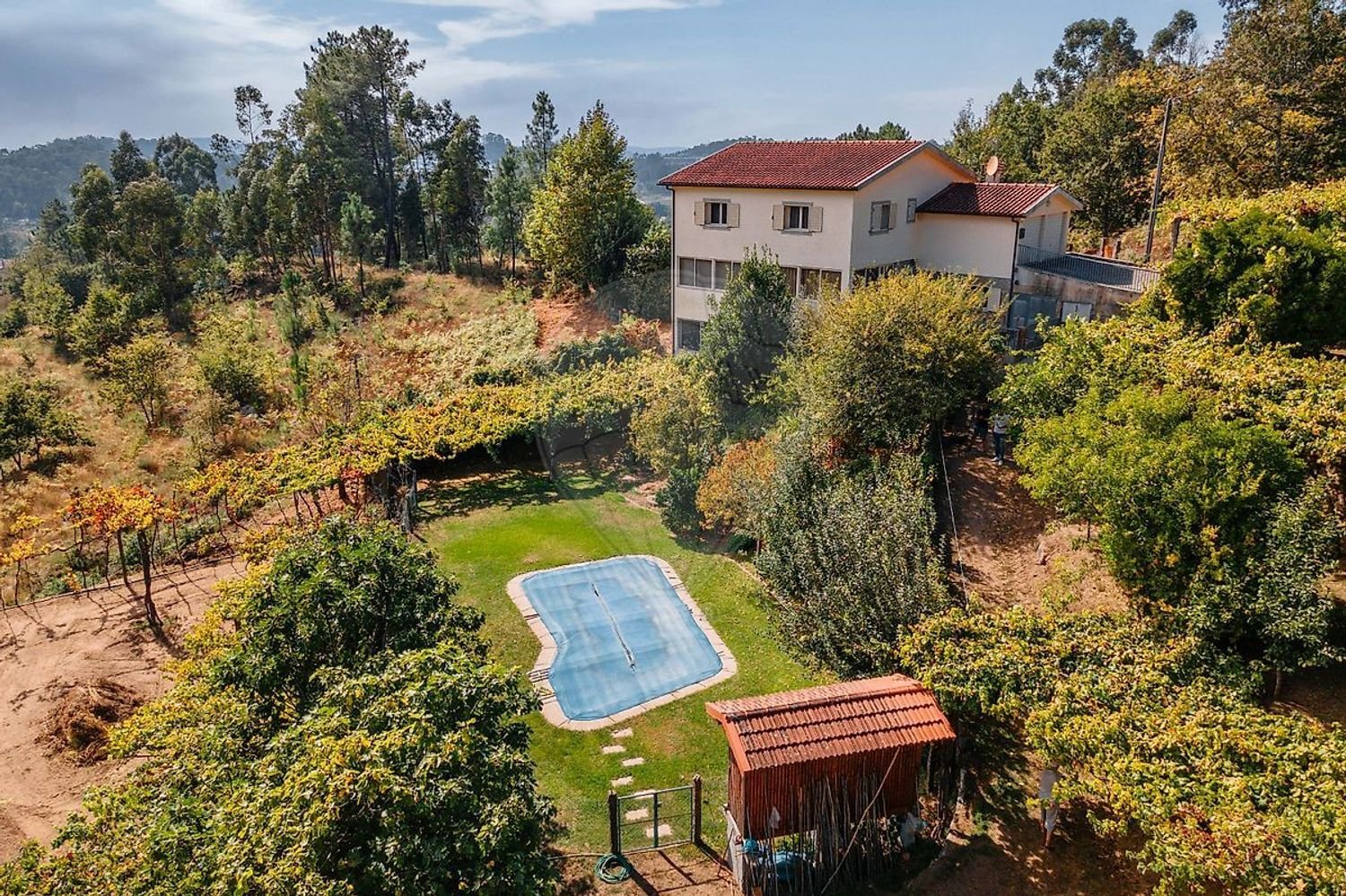 4 غرف نوم منزل في Regadas, Portugal رقم 177504