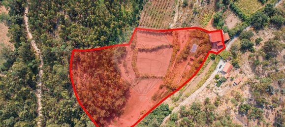 4 غرف نوم منزل في Regadas, Portugal رقم 177504 31