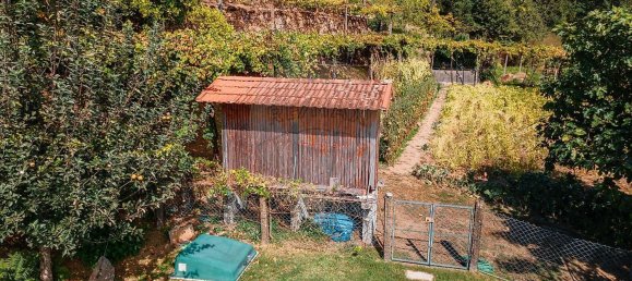 4 غرف نوم منزل في Regadas, Portugal رقم 177504 10