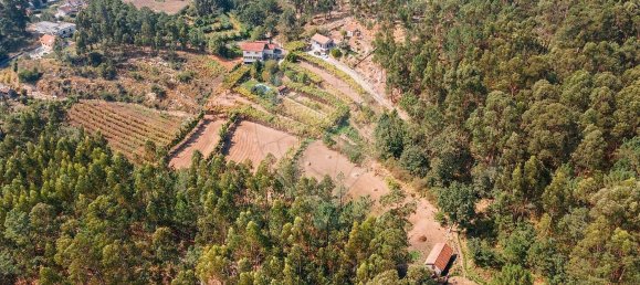 4 غرف نوم منزل في Regadas, Portugal رقم 177504 28