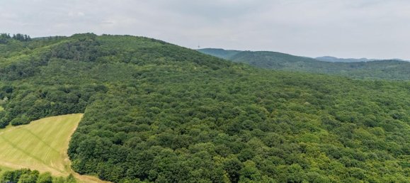 5-Zimmer Haus in Enzesfeld-Lindabrunn, Austria, Nr. 224866 12