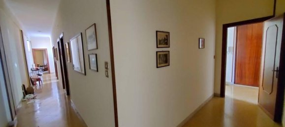 5 rooms Apartment in Palermo, Italy No. 168092 13