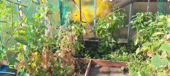 Land in Dresden, Germany No. 314346 17