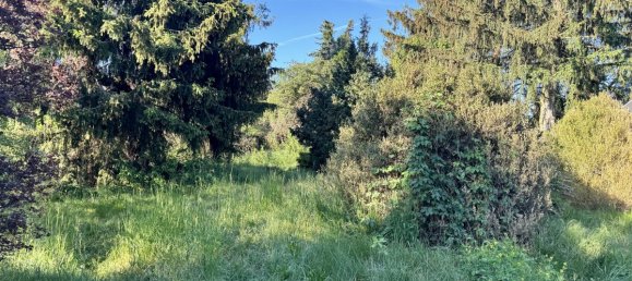 Terreno em Havelland, Germany N.º 20760 2