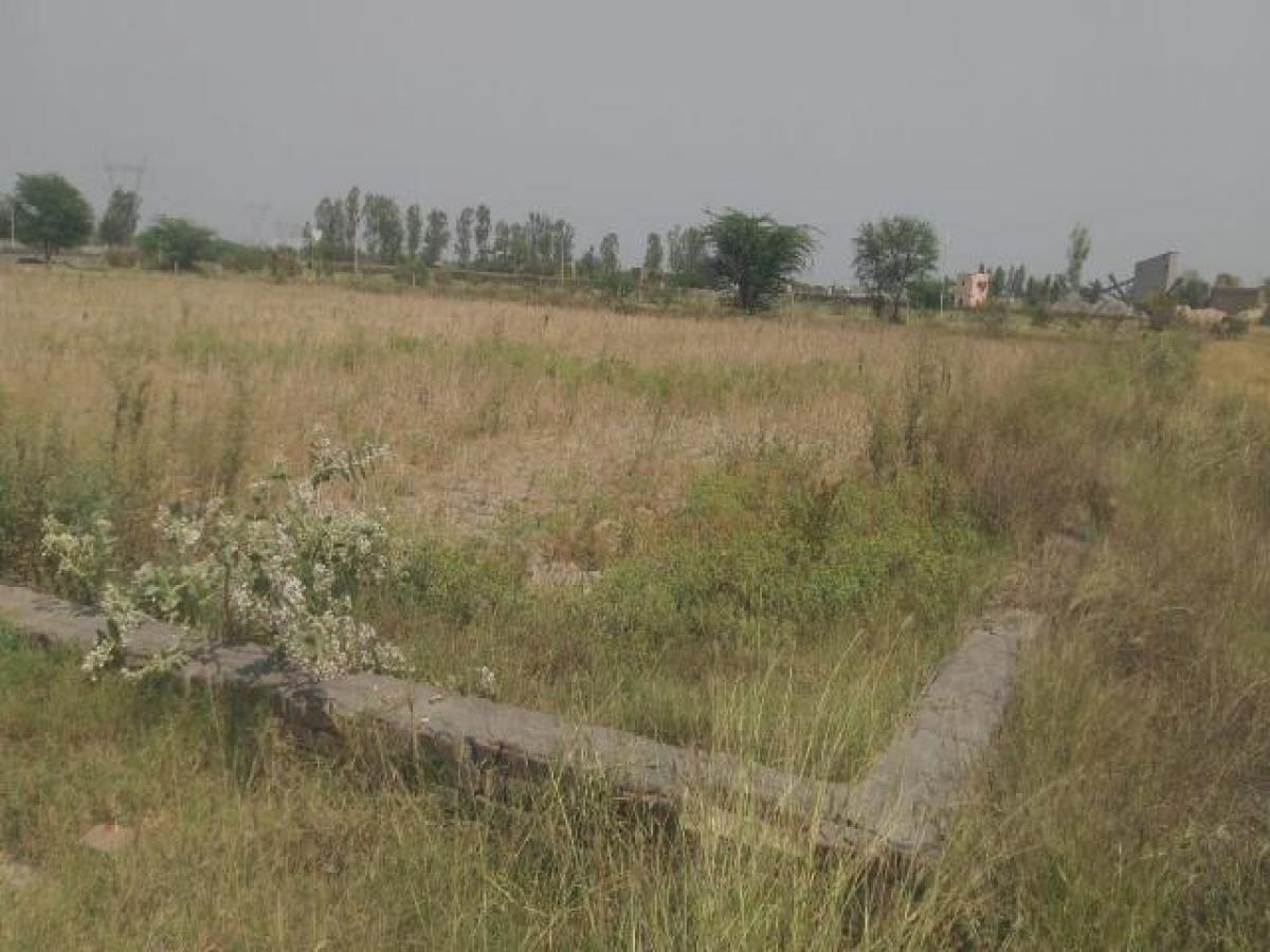 Terrain à Aligarh, India No. 36436