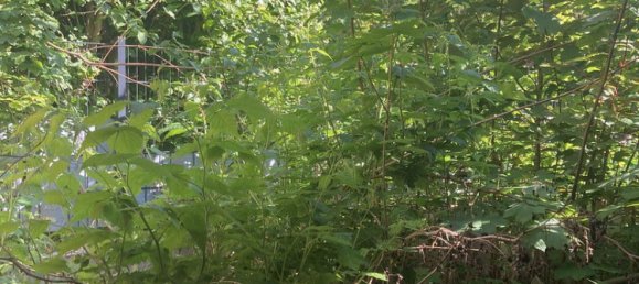 6 rooms House in Mainz-Bingen, Germany No. 280837 7