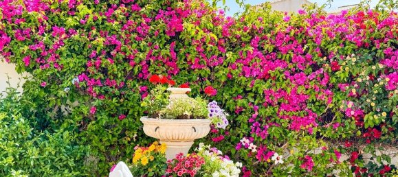 4 bedrooms House in Alicante, Spain No. 177138 7