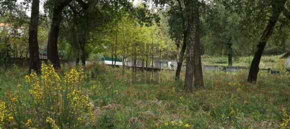 2220m² Land in Macieira de Cambra, Portugal No. 85828 3