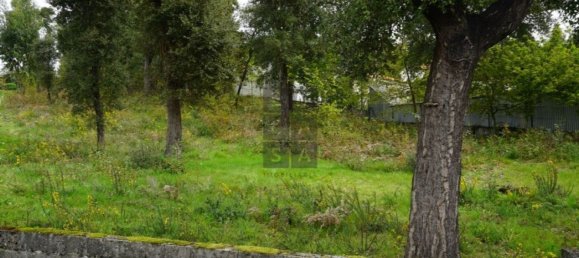 2220m² Land in Macieira de Cambra, Portugal No. 85828 16