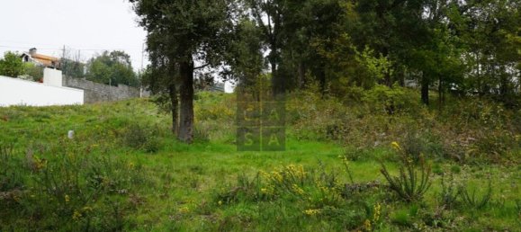 2220m² Land in Macieira de Cambra, Portugal No. 85828 19