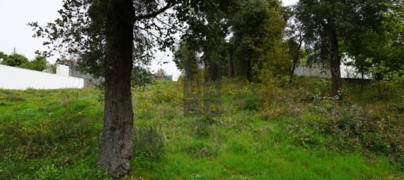 2220m² Land in Macieira de Cambra, Portugal No. 85828 10