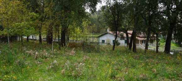 2220m² Land in Macieira de Cambra, Portugal No. 85828 7