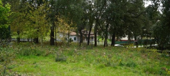 2220m² Land in Macieira de Cambra, Portugal No. 85828 12