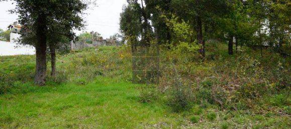 2220m² Land in Macieira de Cambra, Portugal No. 85828 8