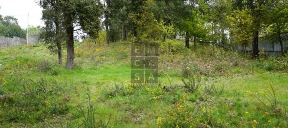 2220m² Land in Macieira de Cambra, Portugal No. 85828 18