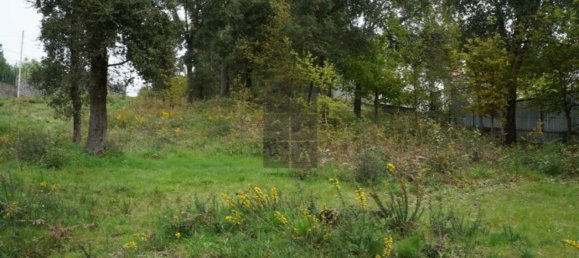 2220m² Land in Macieira de Cambra, Portugal No. 85828 6