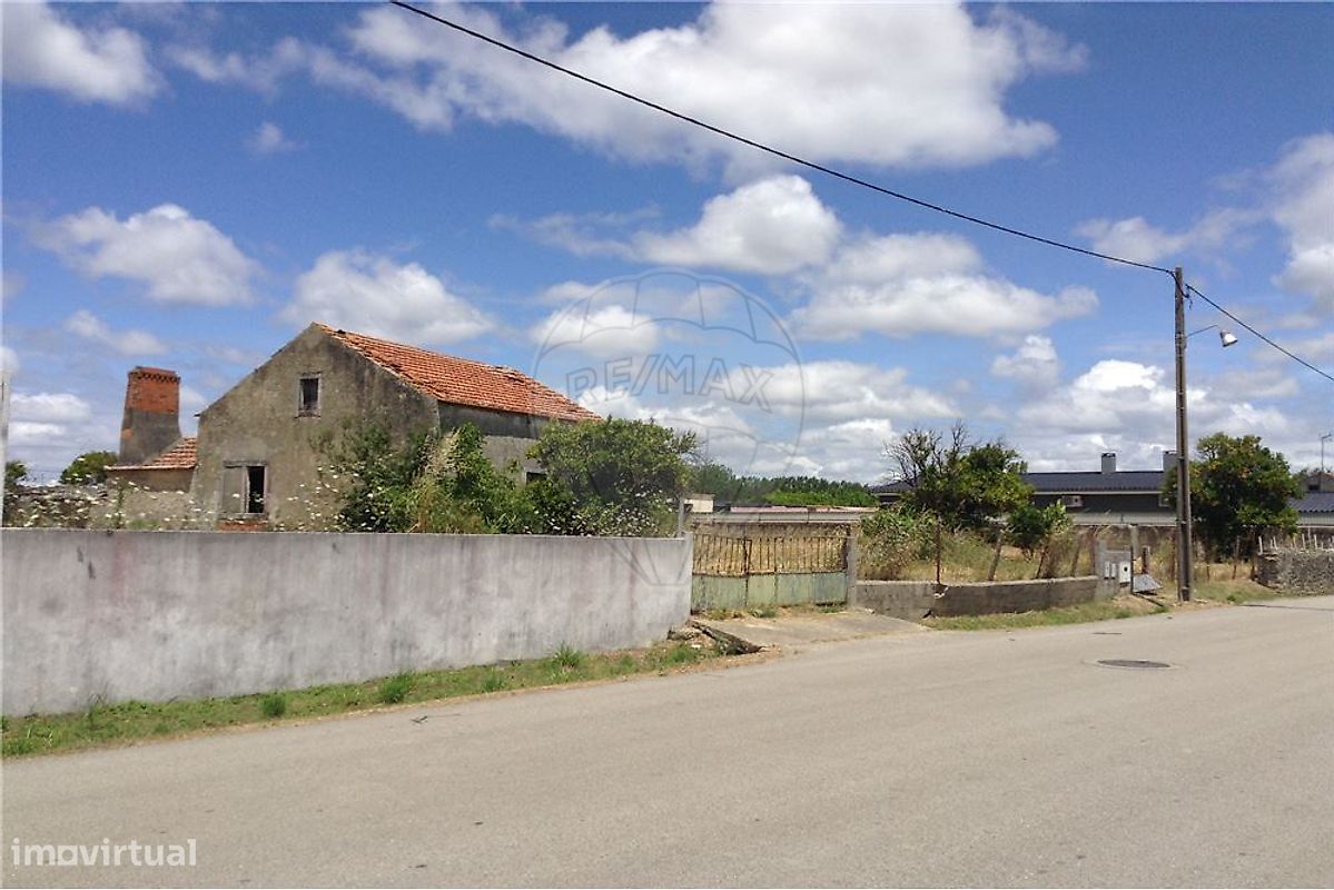 2 bedrooms House in Cadima, Portugal No. 295990