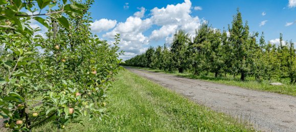 3 bedrooms Farm in Stade, Germany No. 167194 8