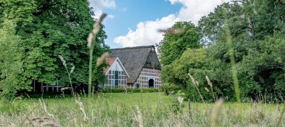 3 bedrooms Farm in Stade, Germany No. 167194 9