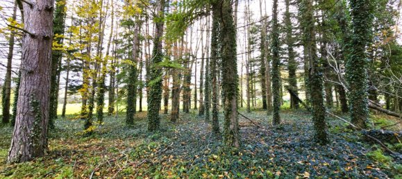 11غرفة فيلا في Camerino, Italy رقم 82885 24