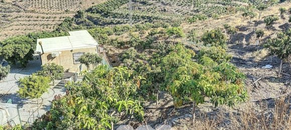 1 bedroom House in Benamargosa, Spain No. 36887 45