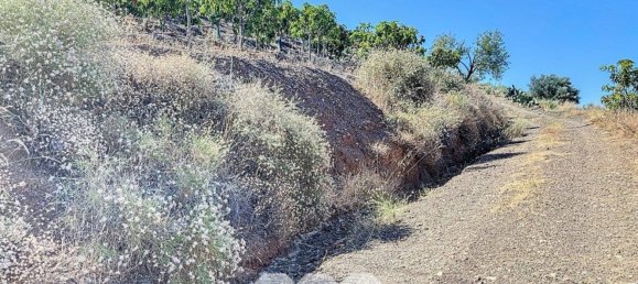 1 bedroom House in Benamargosa, Spain No. 36887 26