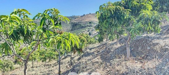 1 bedroom House in Benamargosa, Spain No. 36887 14