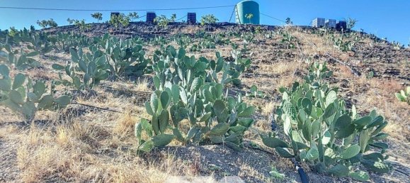 1 bedroom House in Benamargosa, Spain No. 36887 42