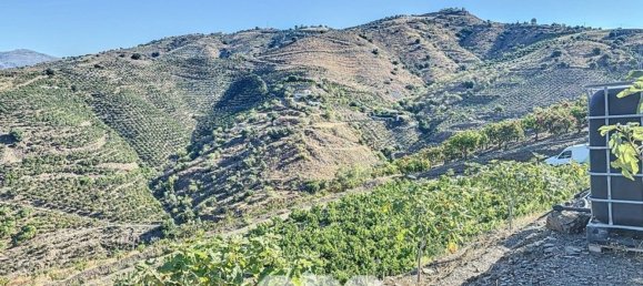 1 bedroom House in Benamargosa, Spain No. 36887 30