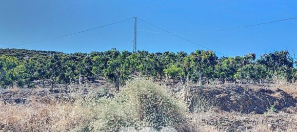 1 bedroom House in Benamargosa, Spain No. 36887 27