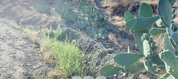 1 bedroom House in Benamargosa, Spain No. 36887 46