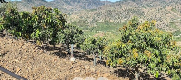 1 bedroom House in Benamargosa, Spain No. 36887 10