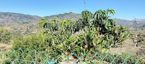 1 bedroom House in Benamargosa, Spain No. 36887 5