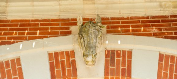 Дом с 10 спальнями в Тур, Франция № 237045 6