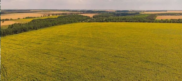 88551m² Land in Medesano, Italy No. 298850 13