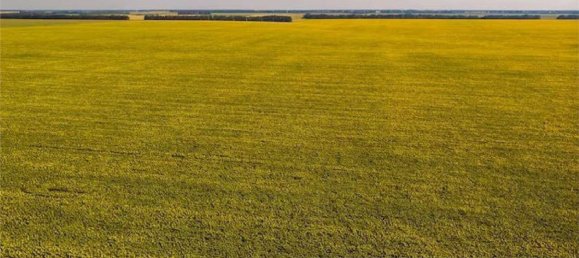 88551m² Land in Medesano, Italy No. 298850 12