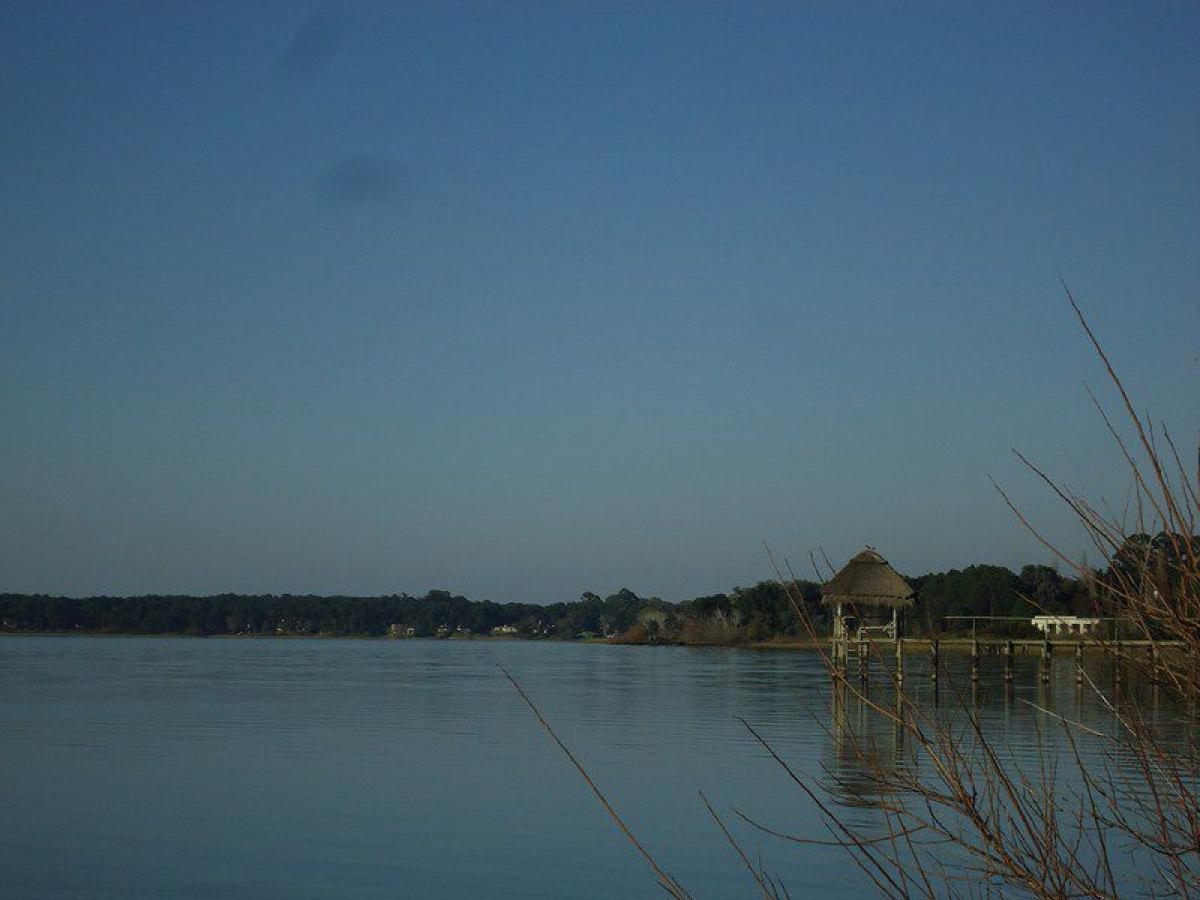  Farm in Maldonado, Uruguay No. 15538