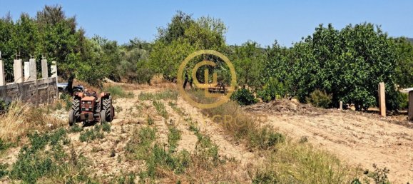 Grundstück in Paderne, Portugal 1000m², Nr. 55059 4