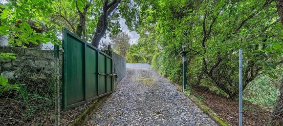 Дом с 3 спальнями в Понти да Барка, Португалия № 18095 3