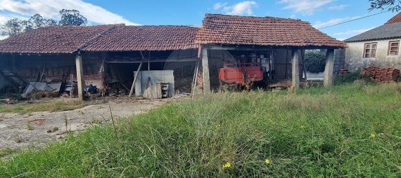 3 Schlafzimmer Haus in Alcobaca, Portugal, Nr. 33115 4