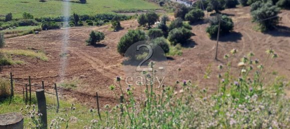 Grundstück in Selmes, Portugal 40000m², Nr. 42419 5