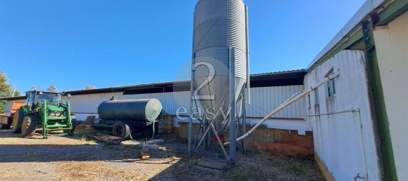 Grundstück in Selmes, Portugal 40000m², Nr. 42419 13