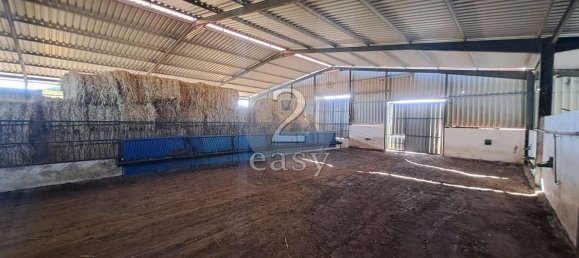 Grundstück in Selmes, Portugal 40000m², Nr. 42419 34