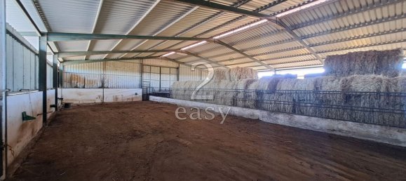 Grundstück in Selmes, Portugal 40000m², Nr. 42419 36