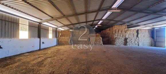 Grundstück in Selmes, Portugal 40000m², Nr. 42419 45