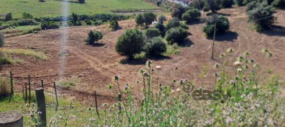 Grundstück in Selmes, Portugal 40000m², Nr. 42419 68