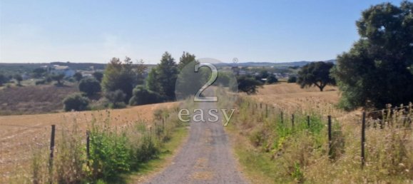 Grundstück in Selmes, Portugal 40000m², Nr. 42419 21