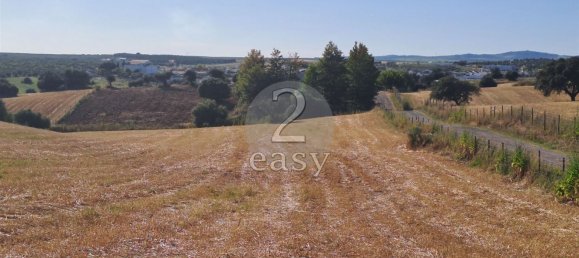 Grundstück in Selmes, Portugal 40000m², Nr. 42419 90