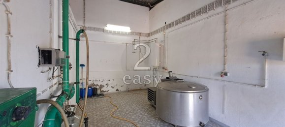 Grundstück in Selmes, Portugal 40000m², Nr. 42419 26