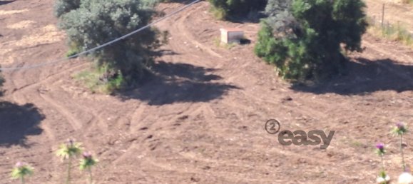 Grundstück in Selmes, Portugal 40000m², Nr. 42419 93